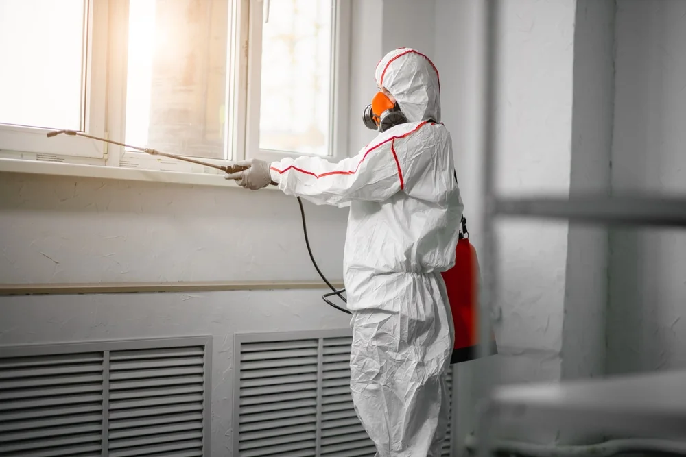 Professional mold remediation services in Northwood, NH